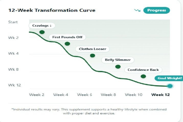 JellyFit Review 2026: