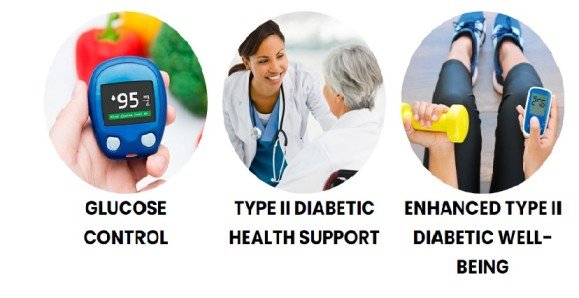 GlycoFree.com Review 